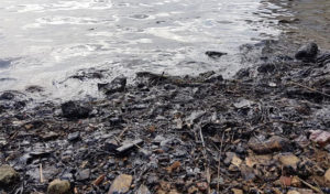 Tunisie : Les plages polluées par une vaste couche de pétrole, vidéo