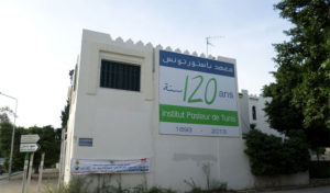 Protestation des agents contractuels des différents corps à l’Institut Pasteur de Tunis