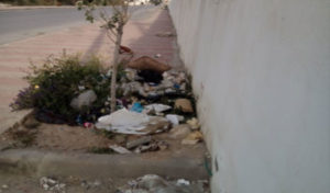 Tunisie : Le massacre des chiots à Sidi Rezig continue