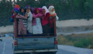 Tunisie : Onze femmes agricultrices victimes d’un accident