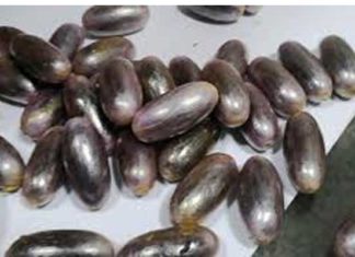 Trafic de cocaïne à Tunis-Carthage : 627 capsules avalées et un vaste réseau international démantelé