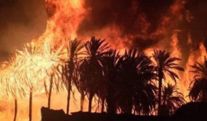 Incendie à Douz : évacuation d’urgence des élèves d’une école proche