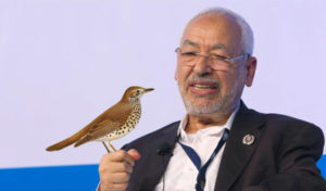 Présidentielle 2019 : Et si l’oiseau rare des Nahdhaouis n’était pas Mourou
