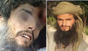 Kasserine : le terroriste abattu est impliqué dans plusieurs attaques