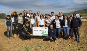 Advans Tunisie plante sa première forêt à Zaghouan