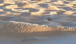 Tunisie : De la neige dans le désert (photo)