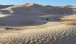 Tunisie : un homme disparu dans le désert