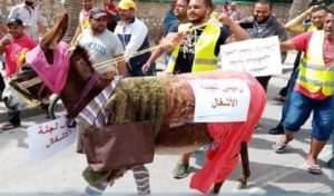 Tunisie – Sfax : Après avoir traité des employés d’âne, une conseillère municipale reçoit un cadeau
