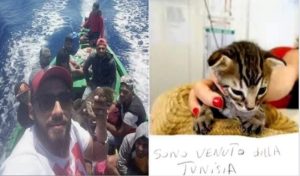 Tunisie – Immigration clandestine : la photo d’un chat en Italie fait le tour du web