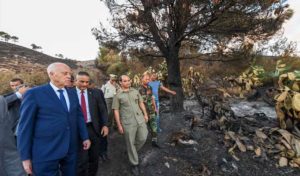 Tunisie: Kaïs Saied inspecte les dégâts de l’incendie perpétré à Djebel Amdoun