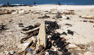 Environnement : L’Iran a-t-il pollué les côtes israéliennes ?