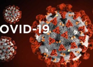 Covid-19 : un scientifique américain affirme que le virus aurait été créé aux États-Unis