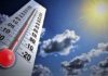 Tunisie : Prévisions météo du lundi 1er juin 2026