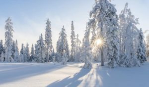 Algérie : Les routes de Kabylie fermées pour cause de neige