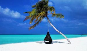 Tourisme : Greenpeace valide la destination Tunisie “vacances écolo”