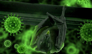 DIRECT SANTÉ – Coronavirus : NeoCov, un nouveau variant découvert à Wuhan