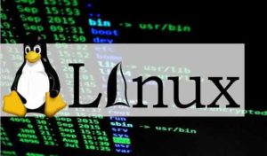 Tunisie – ANSI : Une vulnérabilité très critique découverte dans le noyau des systèmes Linux
