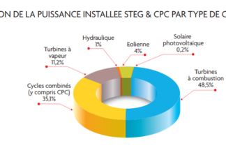 La STEG sera-t-elle capable de nous fournir de l’électricité les jours de canicule?