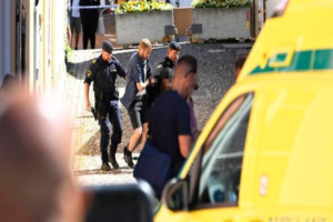 Suède : Un néo-nazi de 30 ans poignarde à mort une femme