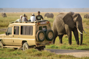 Tourisme de safari : Une croissance révolutionnaire d’ici 2027