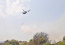 Siliana : l’incendie du mont Mezata maîtrisé après une intervention aérienne