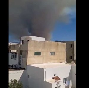 Tunisie : Incendie au mont Boukornine (vidéo)