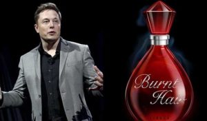 Acheter mon parfum pour acquérir Twitter, dixit Elon Musk