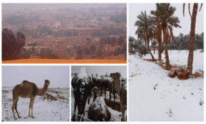 Algérie: Chutes de neige dans plusieurs régions du sud du pays (phtotos)
