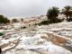 Kasserine : grêle dévastatrice cause des dégâts importants aux cultures
