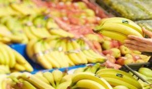 Communiqué important du ministère du commerce concernant les bananes importées d’Égypte