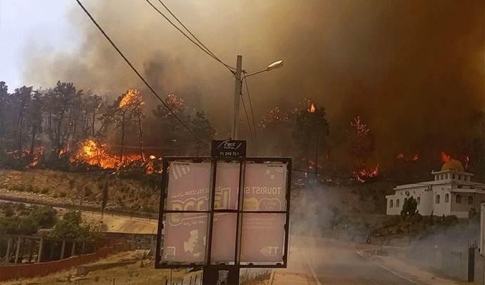 Incendie de Melloula : 9 bus mobilisés par la société de transport de Jendouba, pour évacuer les citoyens