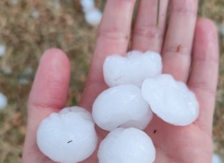 Tunisie : fortes pluies et grêle au centre, Sidi Bouzid enregistre 35 mm