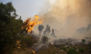 Simultanéité de 5 incendies entre Bouhajla et Nasrallah !