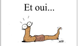 Des vers gelés depuis 46 000 ans retrouvent la vie grâce à des scientifiques allemands ! (Vidéo)