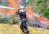 Jendouba : un incendie ravage six hectares de forêt