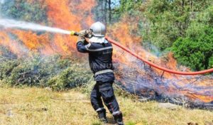 Jendouba : 5 incendies forestiers simultanés