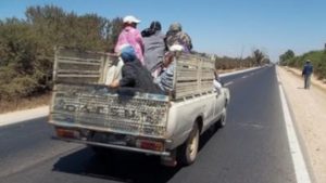 Siliana : 2 travailleuses agricoles victimes d’un accident impliquant la camionnette qui les transportait