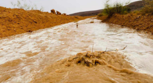 Pluies abondantes à Gabès : une bouffée d’oxygène pour les agriculteurs