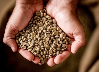 Bizerte : Distribution totale de 48 tonnes de café pour répondre à la demande locale
