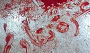 Urgent : bombardement d’une école remplie de réfugiés à Gaza – les inquiétudes grandissent quant à une épuration ethnique du peuple palestinien (Vidéo)