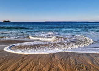 Tunisie : la mer Méditerranée se réchauffe et menace la biodiversité marine