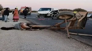 Drame à Sbeitla : un accident de la route coûte la vie à un couple de personnes âgées sur une charrette