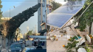 Nabeul : Vents violents entraînent la chute d’arbres et de poteaux électriques