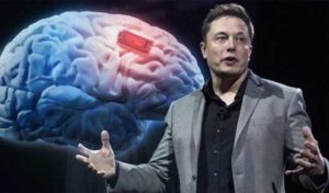 Elon Musk Annonce avec Succès la Première Implantation de Puce Cérébrale de Neuralink sur un Patient Humain