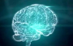 La Tunisie se classe deuxième dans le monde arabe en nombre de chercheurs