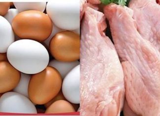Laver le poulet et les œufs : une habitude dangereuse qui favorise la salmonellose