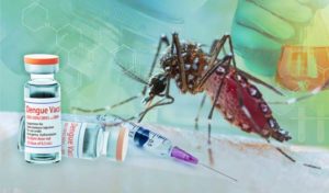 TAK-003 : Le nouveau vaccin contre la Dengue recommandé par l’OMS