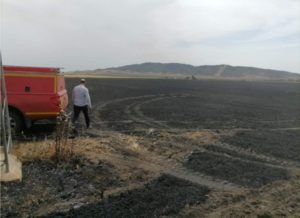 Incendie à Krib : 23 hectares de champs de blé détruits