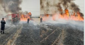 4 hectares de récoltes détruits par un incendie à Manouba, les causes restent inconnues