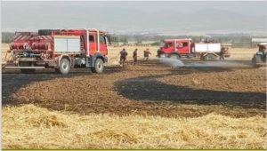 Incendie dans un champ de blé à Jendouba : 1 hectare ravagé